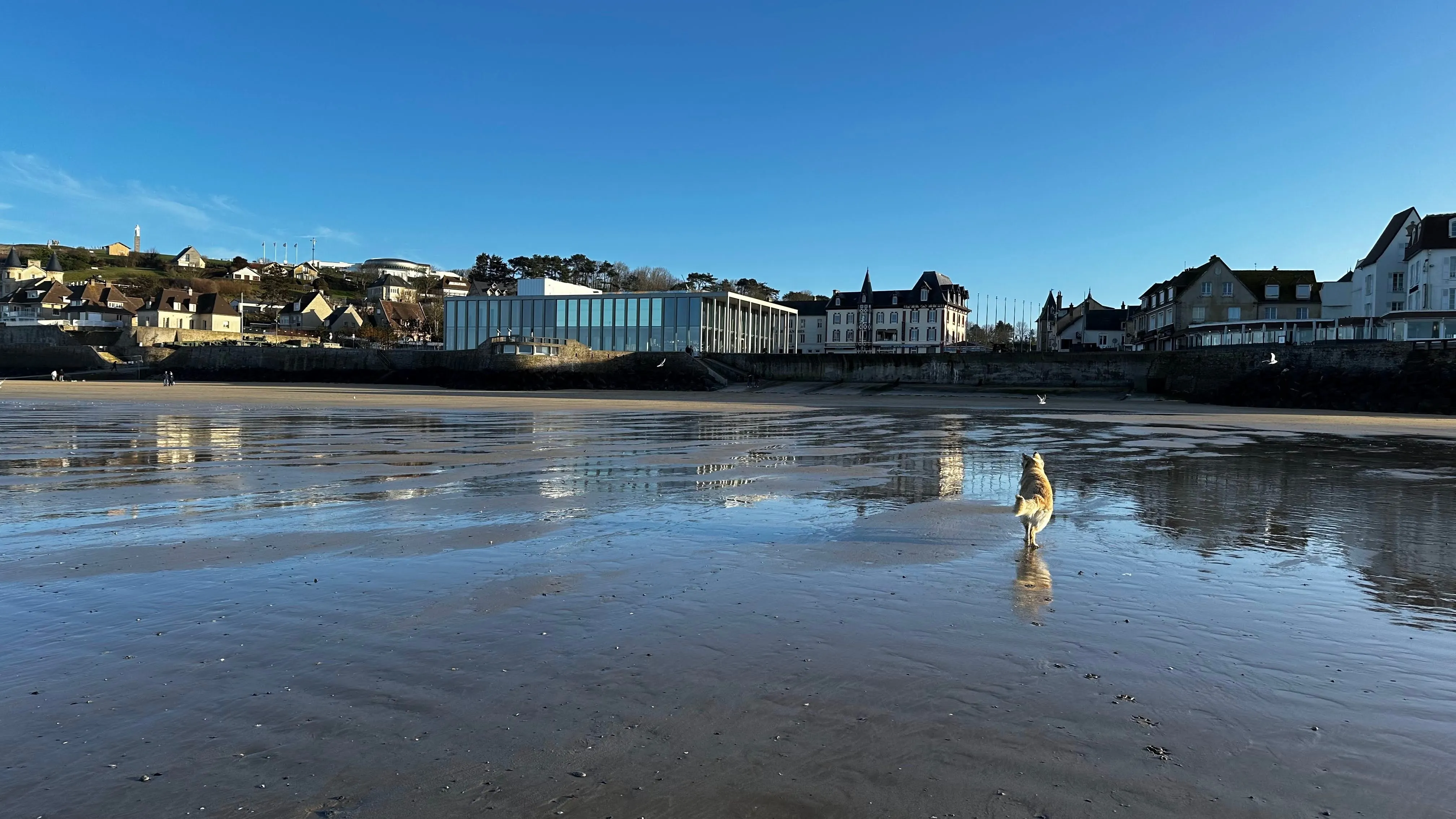 Front de mer d'Arromanches-les-Bains à marée basse, vue sur la plage et les villas
